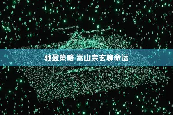驰盈策略 嵩山宗玄聊命运