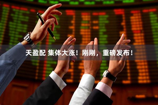 天盈配 集体大涨！刚刚，重磅发布！
