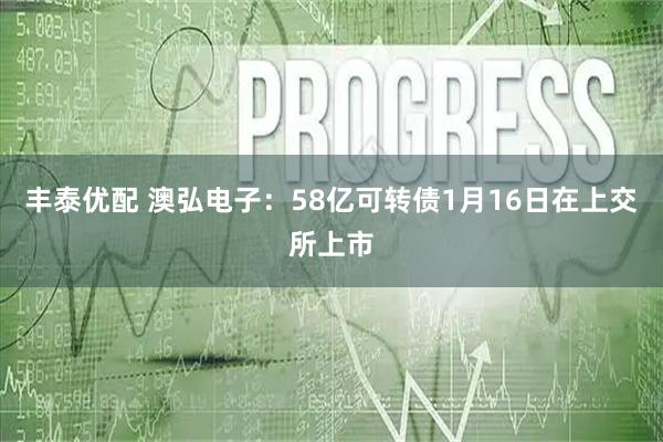 丰泰优配 澳弘电子：58亿可转债1月16日在上交所上市
