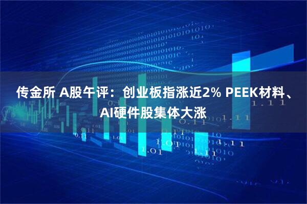 传金所 A股午评:创业板指涨近2% PEEK材料、AI硬件股集体大涨